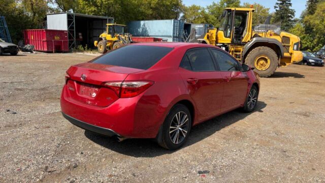 WhatsApp Image 2025-10-05 at 13.29.31 (5)