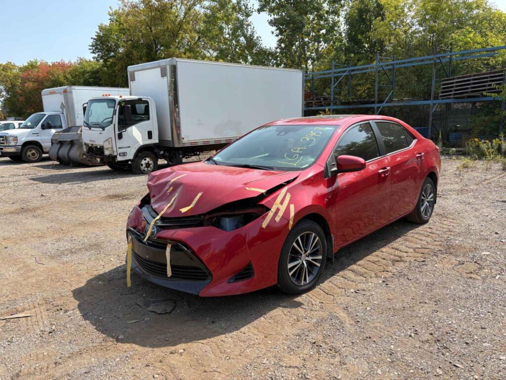 WhatsApp Image 2025-10-05 at 13.29.31 (6)