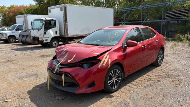 WhatsApp Image 2025-10-05 at 13.29.31 (6)