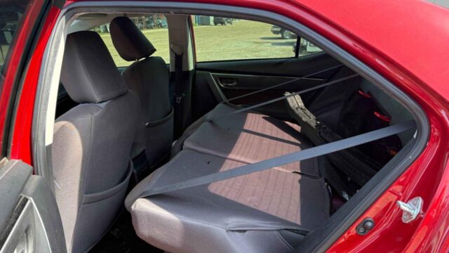 WhatsApp Image 2025-10-05 at 13.29.31