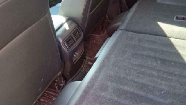 WhatsApp Image 2025-10-05 at 13.29.32 (2)