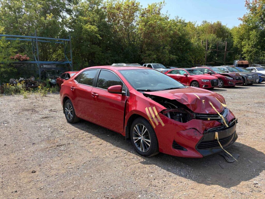 WhatsApp Image 2025-10-05 at 13.29.32