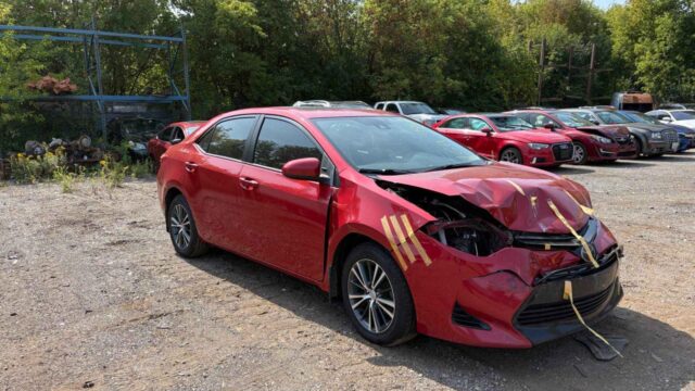 WhatsApp Image 2025-10-05 at 13.29.32