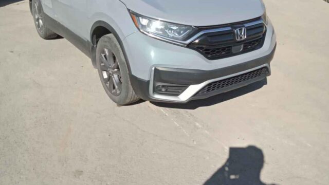 WhatsApp Image 2025-10-05 at 13.29.32