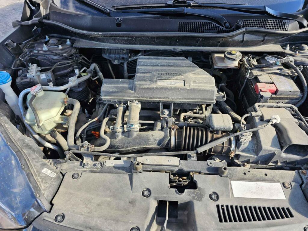 WhatsApp Image 2025-10-05 at 13.29.34 (1)