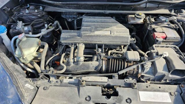 WhatsApp Image 2025-10-05 at 13.29.34 (1)