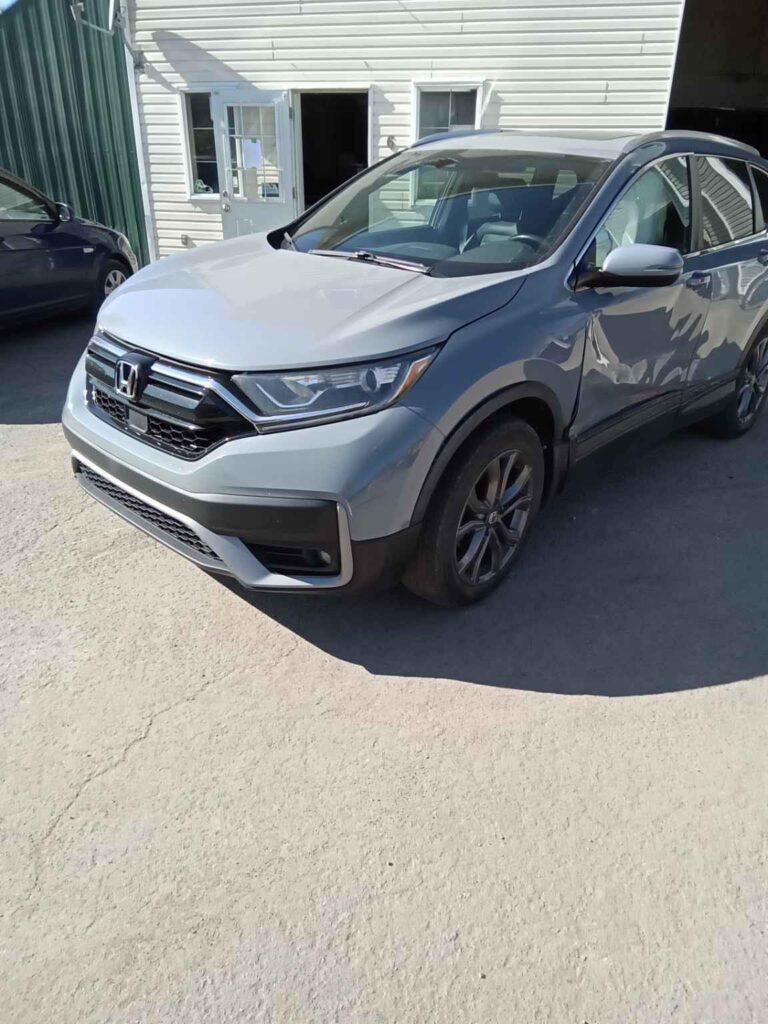 WhatsApp Image 2025-10-05 at 13.29.34 (1)