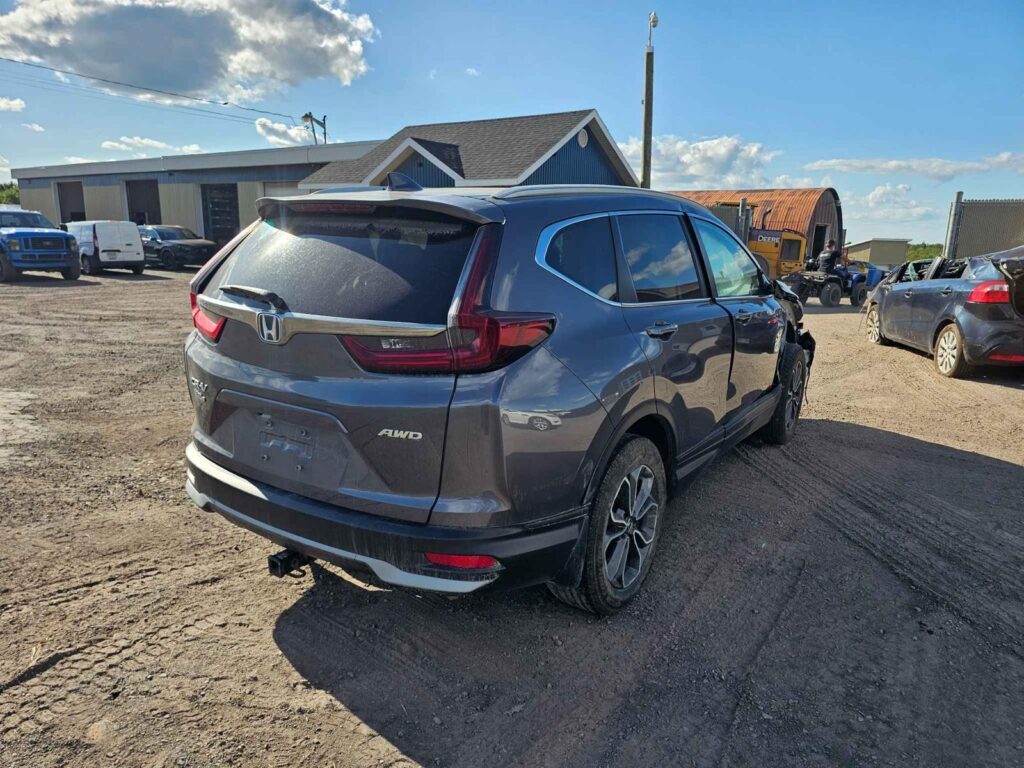 WhatsApp Image 2025-10-05 at 13.29.35 (5)