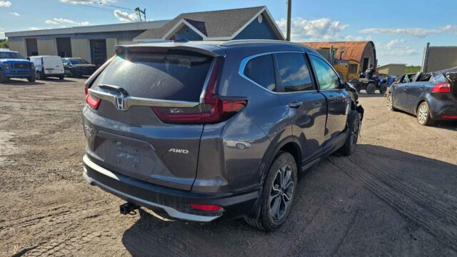 WhatsApp Image 2025-10-05 at 13.29.35 (5)