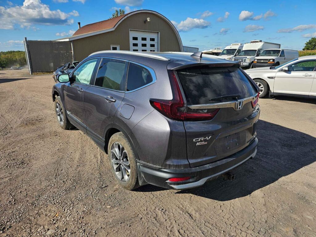 WhatsApp Image 2025-10-05 at 13.29.35 (6)