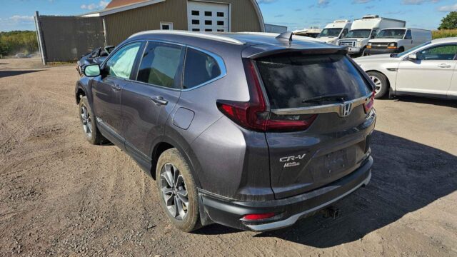 WhatsApp Image 2025-10-05 at 13.29.35 (6)