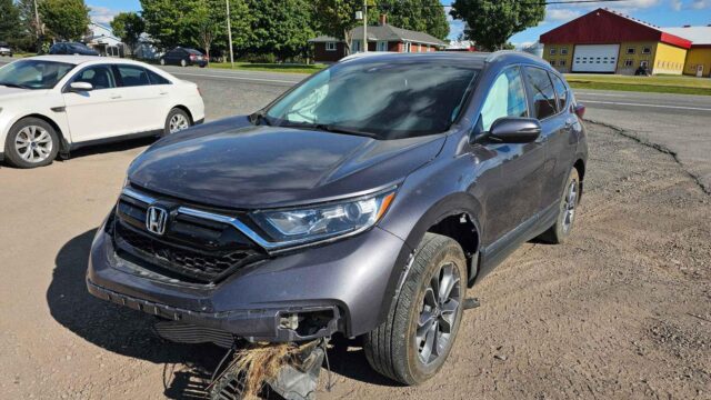 WhatsApp Image 2025-10-05 at 13.29.36 (1)