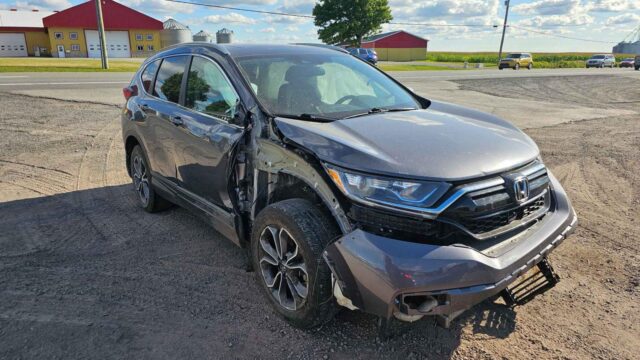 WhatsApp Image 2025-10-05 at 13.29.36